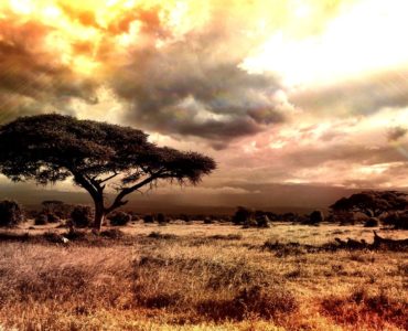 Illustration du livre Au coeur des ténèbres de Conrad